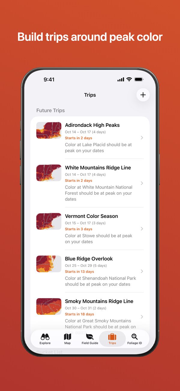 The Fallcast trips list, each trip showing when color is expected at its places.