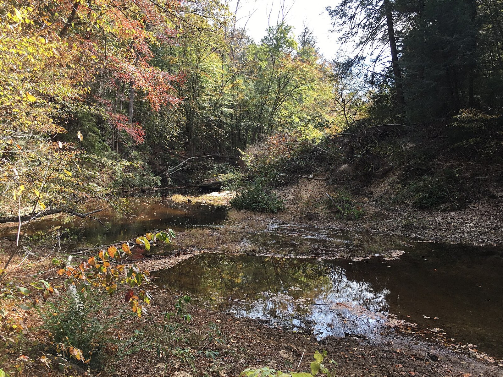 A pool in a creek bed below a bank of trees with red, pink, yellow and green leaves.