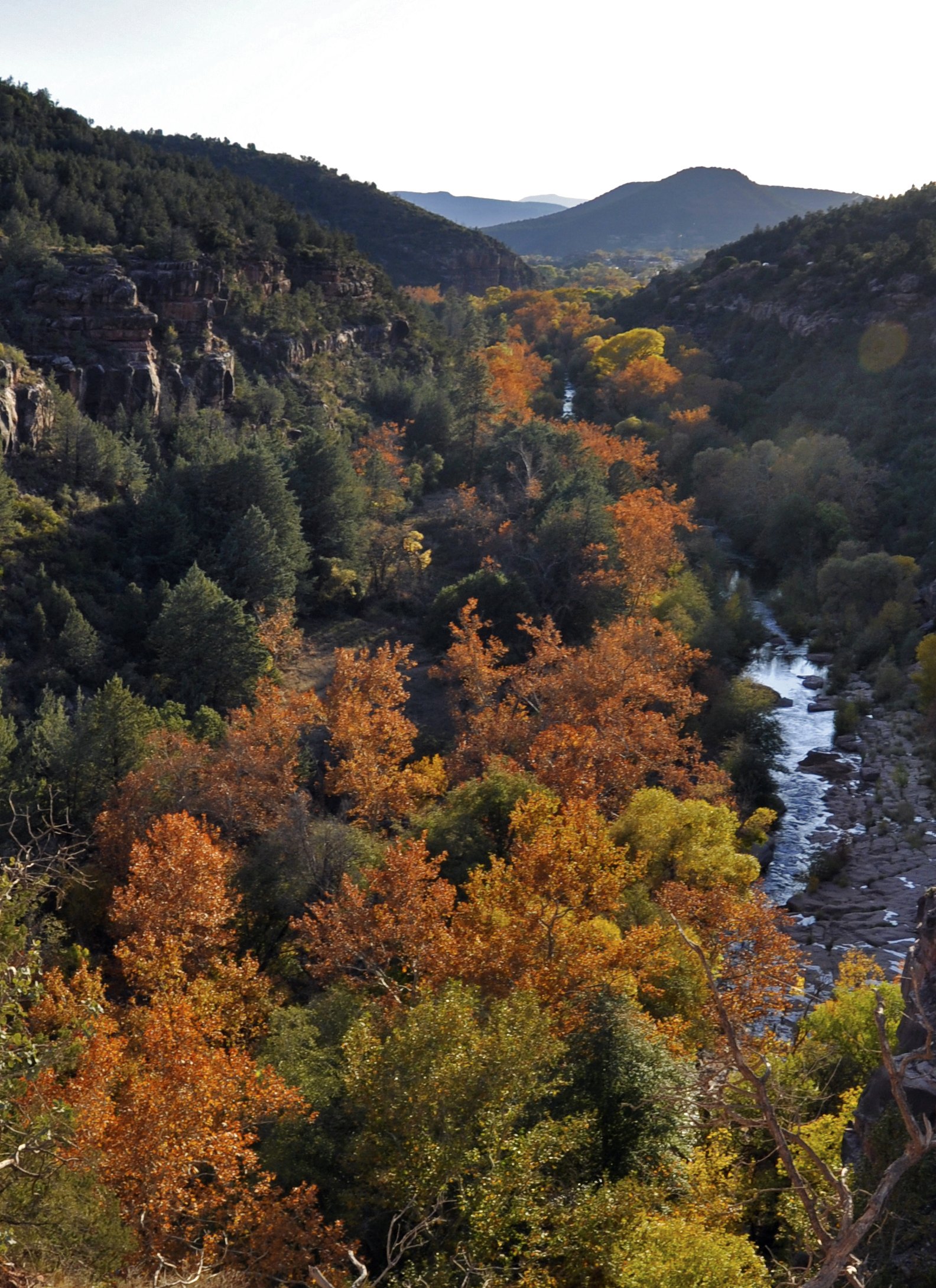 A narrow canyon of dark evergreens, with orange and gold trees along a rocky creek that runs away toward distant hills.