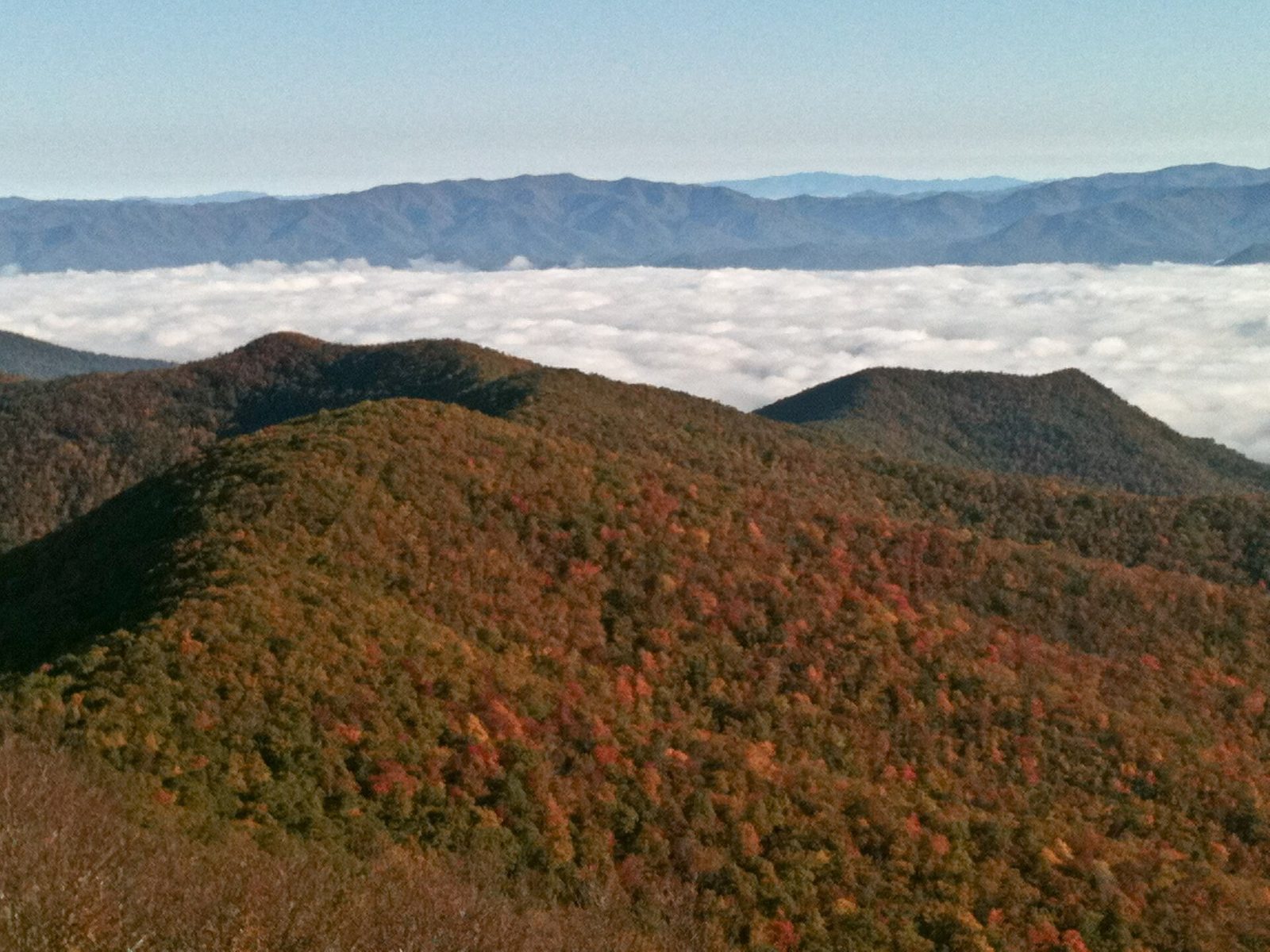 Ridges of red, orange and green trees below Brasstown Bald, with a sea of cloud in the valleys beyond.