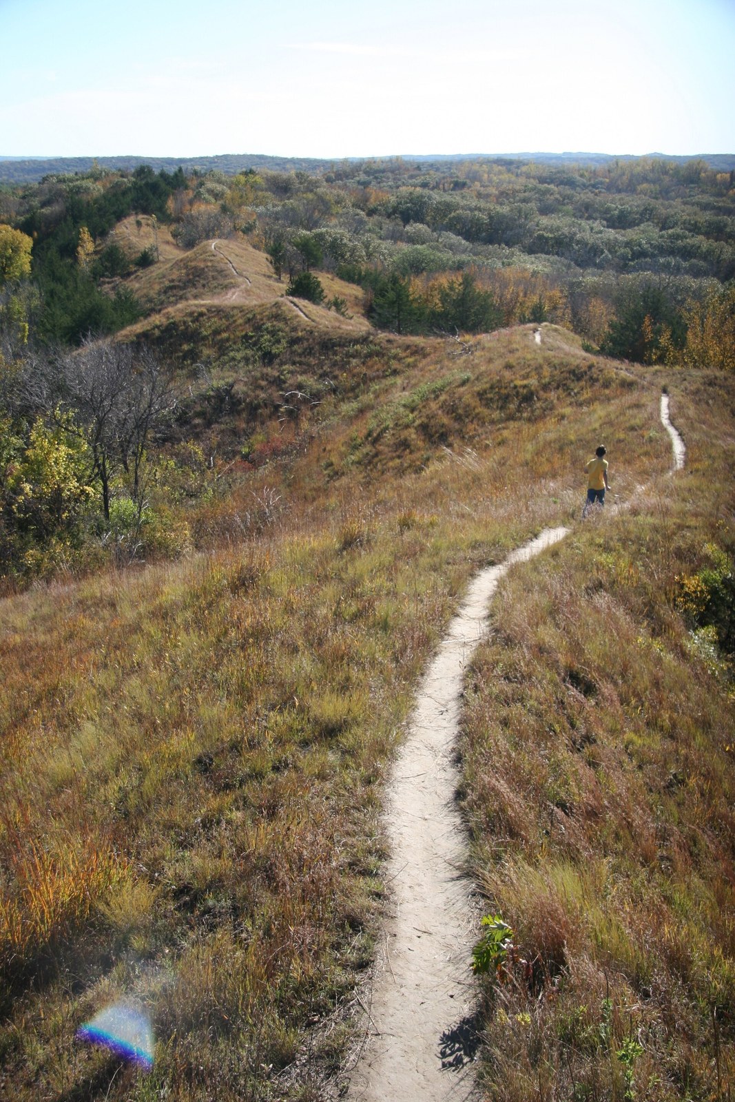 A narrow dirt trail winding along a ridge of golden prairie grass, with wooded hills beyond.