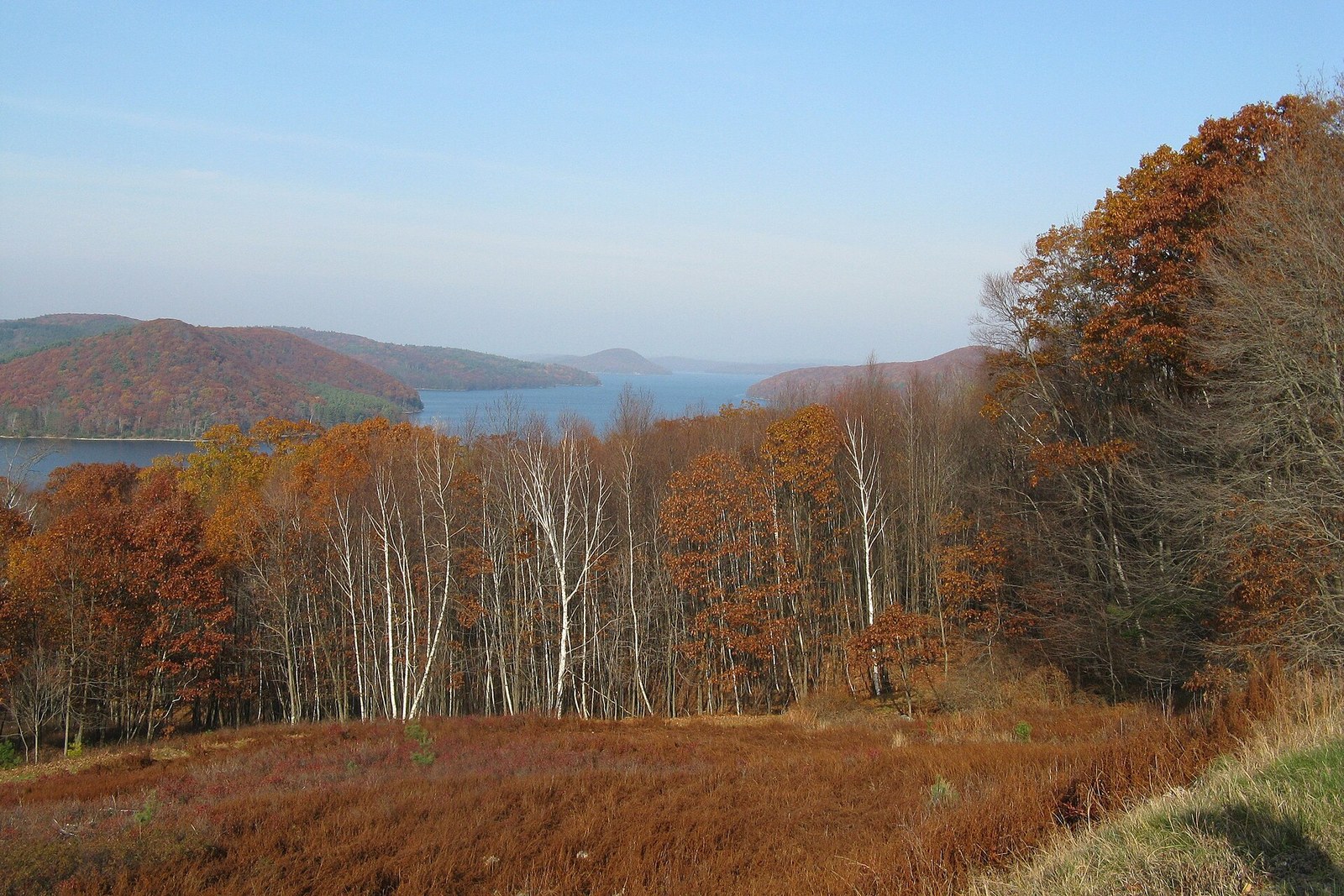 Birches and russet oaks above the wide, blue Quabbin Reservoir, with red-brown hills on the far shore.