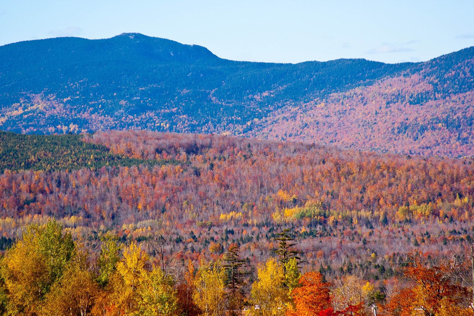 A wooded valley in red, orange and yellow below a bare-topped mountain.