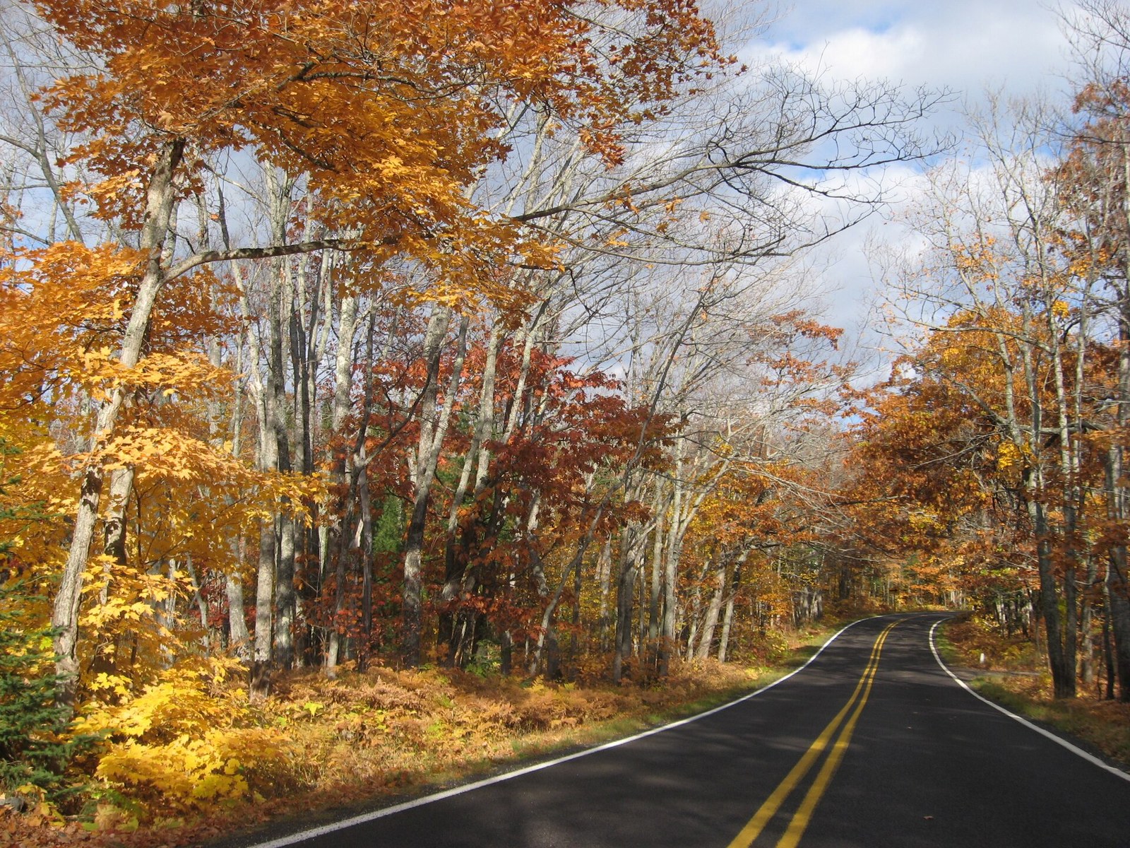A road curving through hardwoods in gold, orange and red leaves, under a partly cloudy sky.