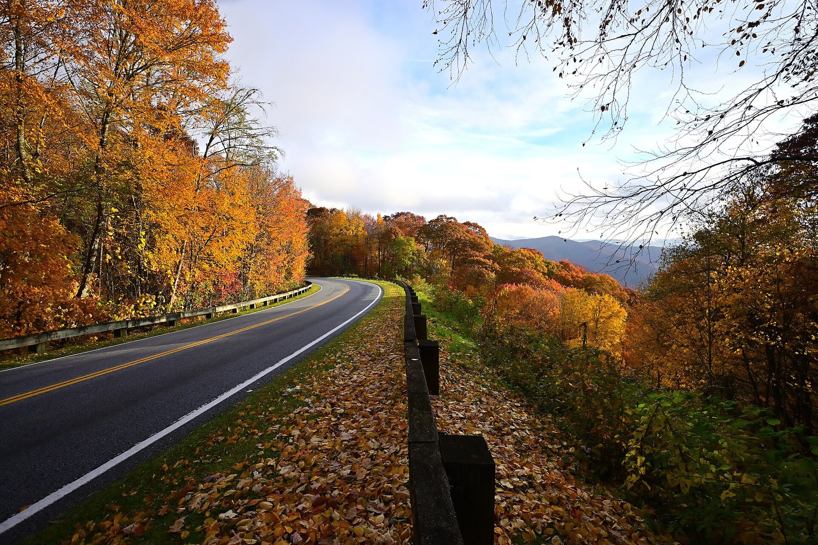 Newfound Gap Road curving through orange and gold trees, with a ridge in the haze beyond.
