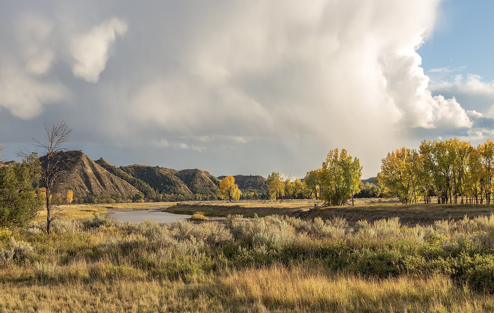 A river bend below badland buttes, with golden cottonwoods and sagebrush under storm clouds.