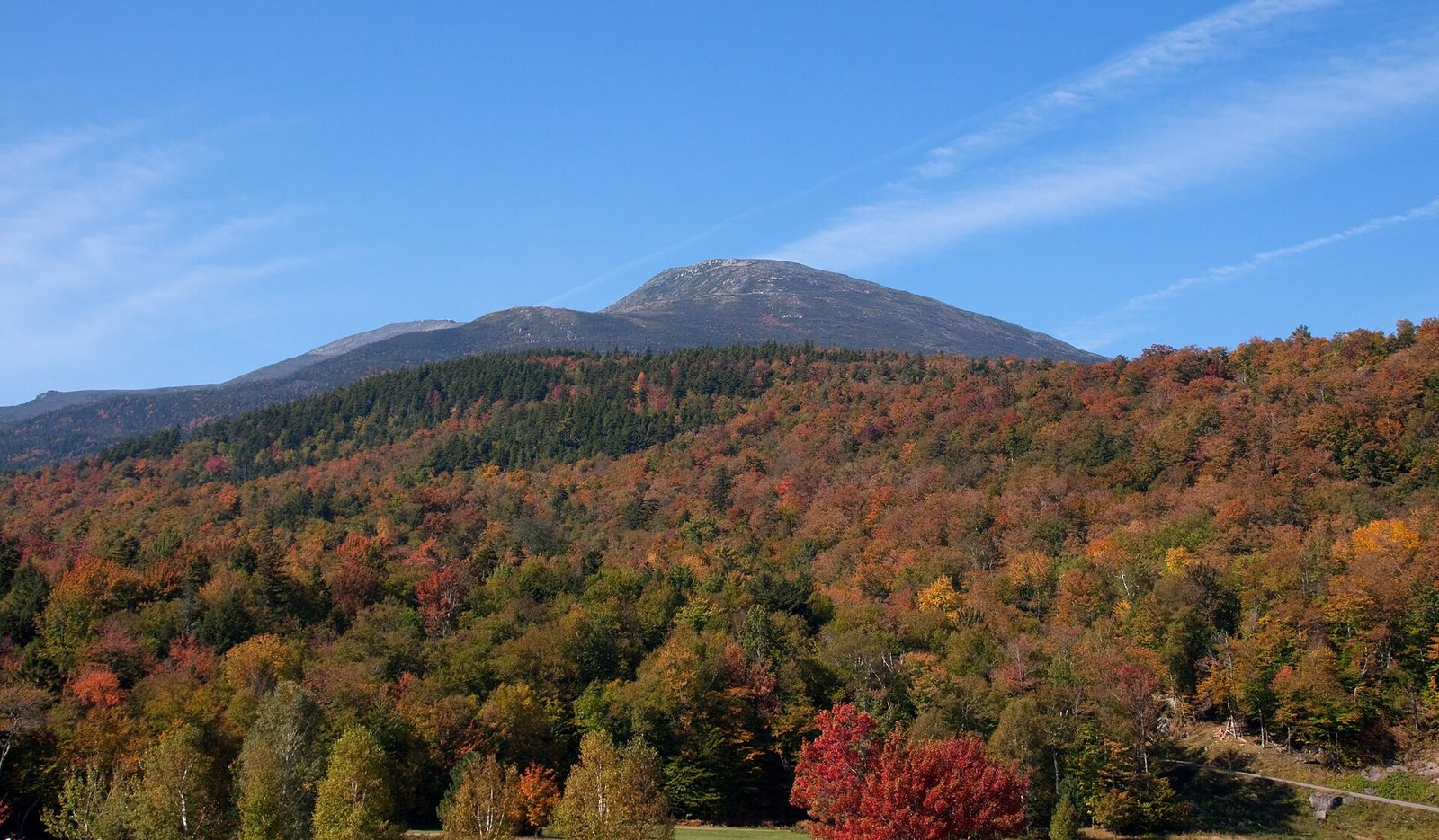 The bare summit of Mount Washington above forested slopes in red, orange and green.