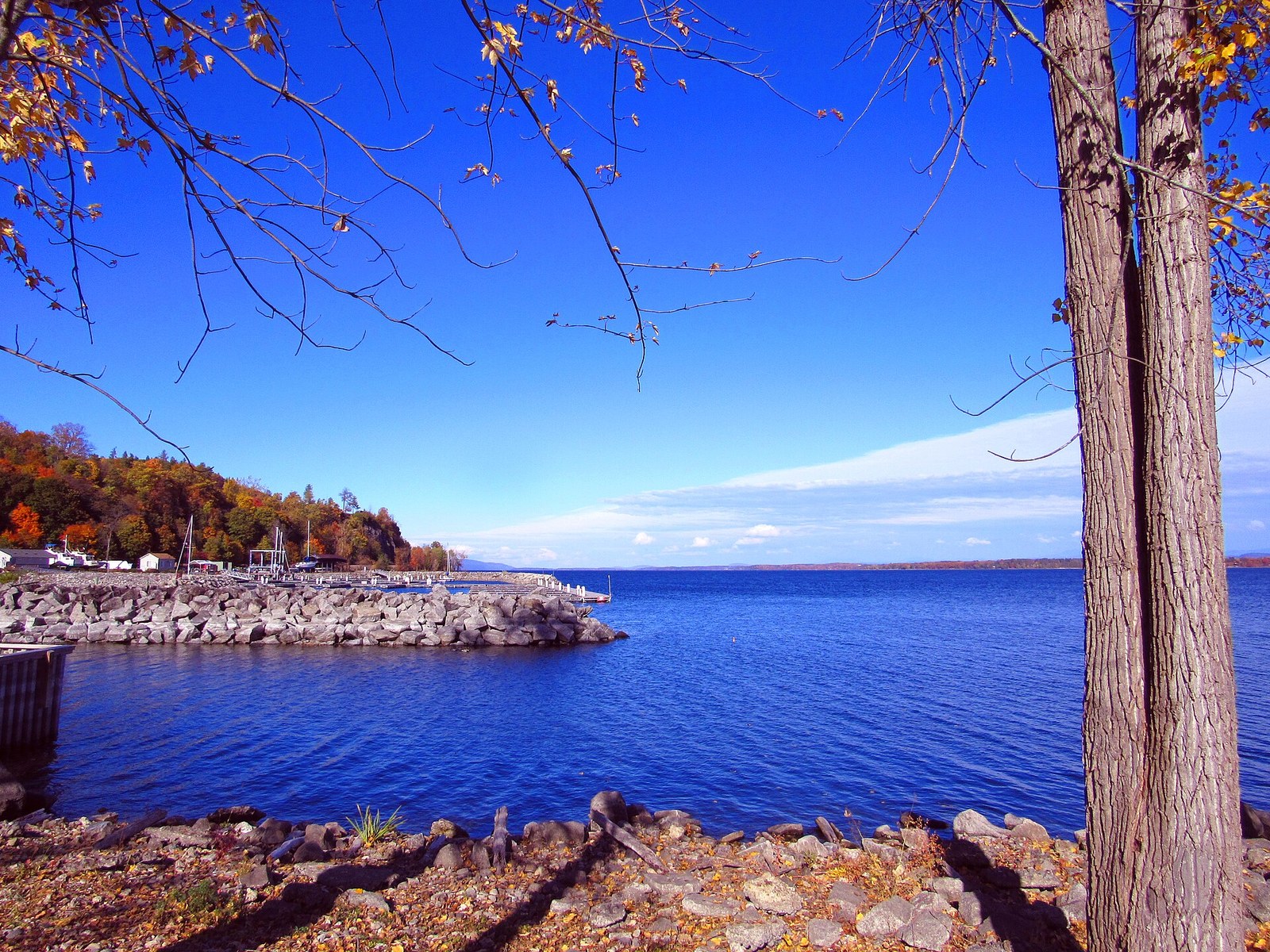 A wide blue lake behind a stone jetty and a hillside of orange and red trees, seen between two tree trunks.