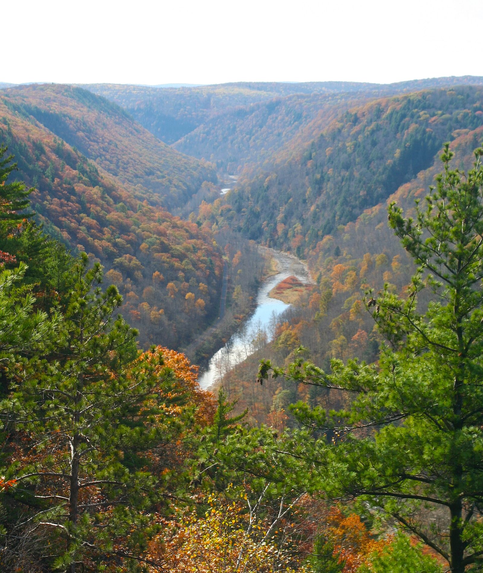 Pine Creek Gorge seen from above, the creek winding between hillsides of orange, gold and green.