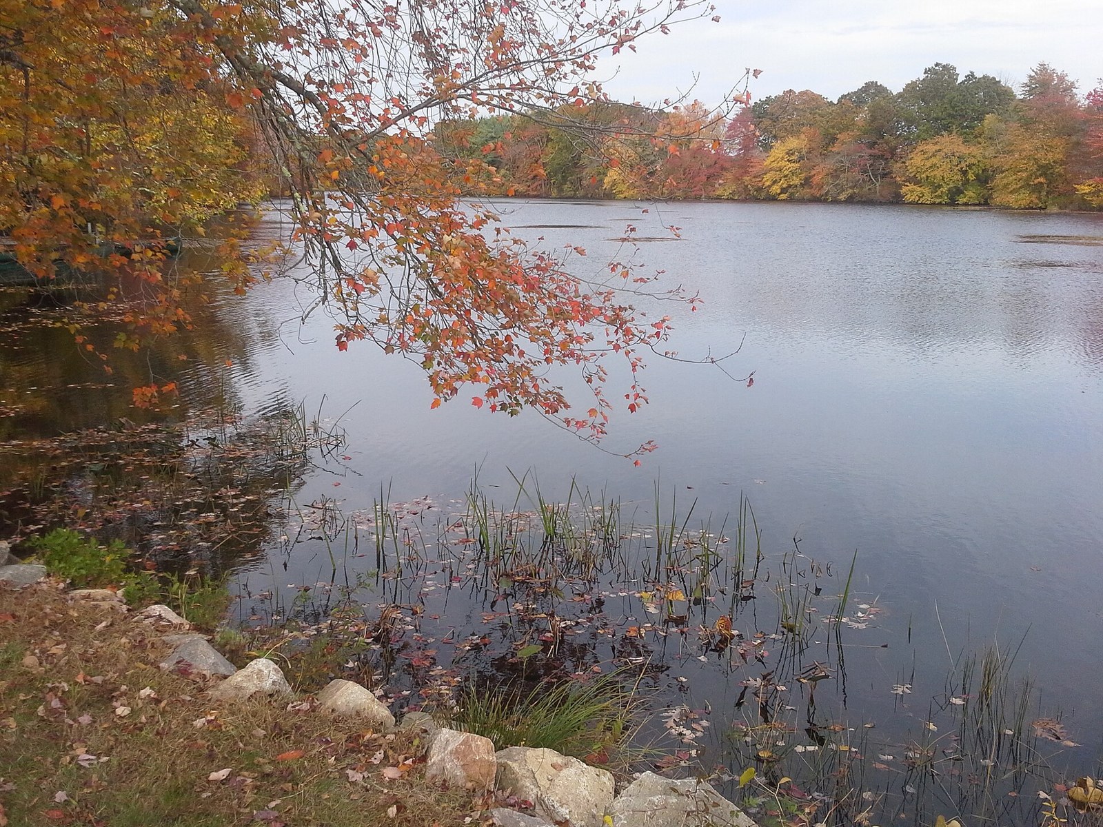 A calm pond ringed by orange, red and yellow trees, with an orange-leaved branch overhead.