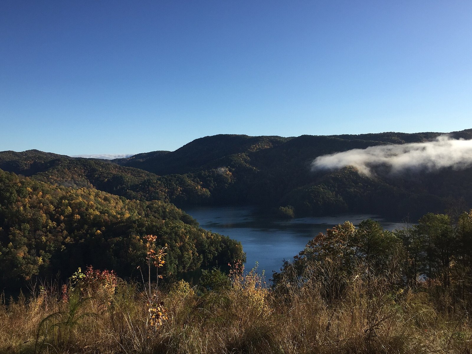 Lake Jocassee between forested mountains of yellow and green trees, with a bank of cloud on the far ridge and golden grass in the foreground.