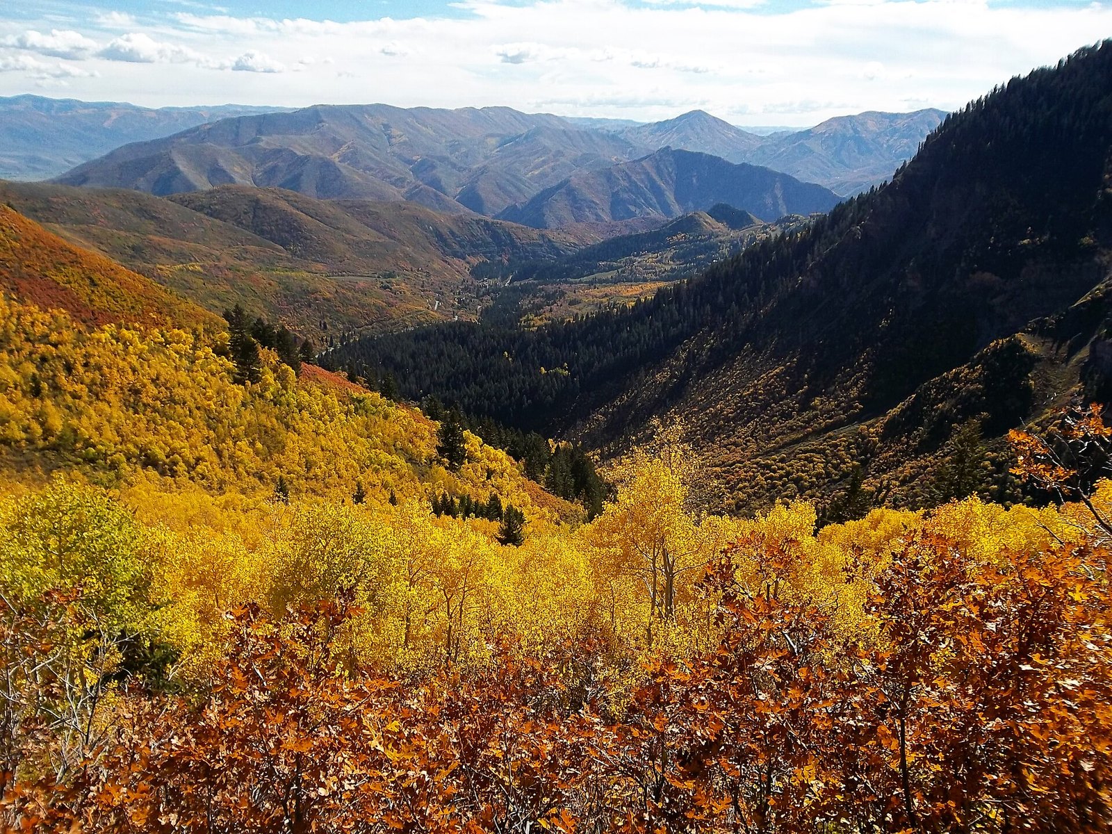 A mountain valley with slopes of gold trees and rust-orange brush, dark evergreens along the far side and blue ridges beyond.