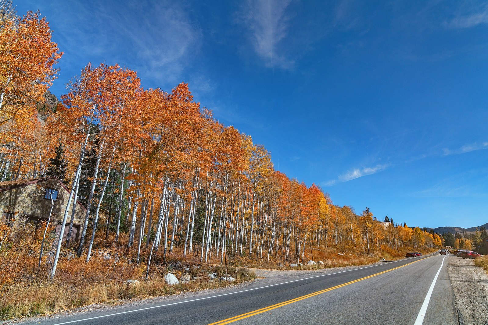 A row of tall orange aspens beside a mountain road under a deep blue sky, in Big Cottonwood Canyon.