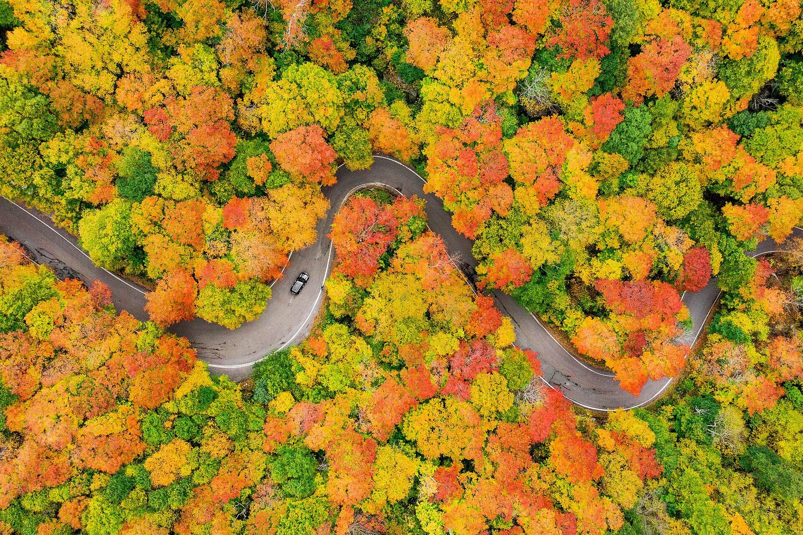 The switchbacks of the Smugglers Notch road seen from above, wound through maples and birches in full color.