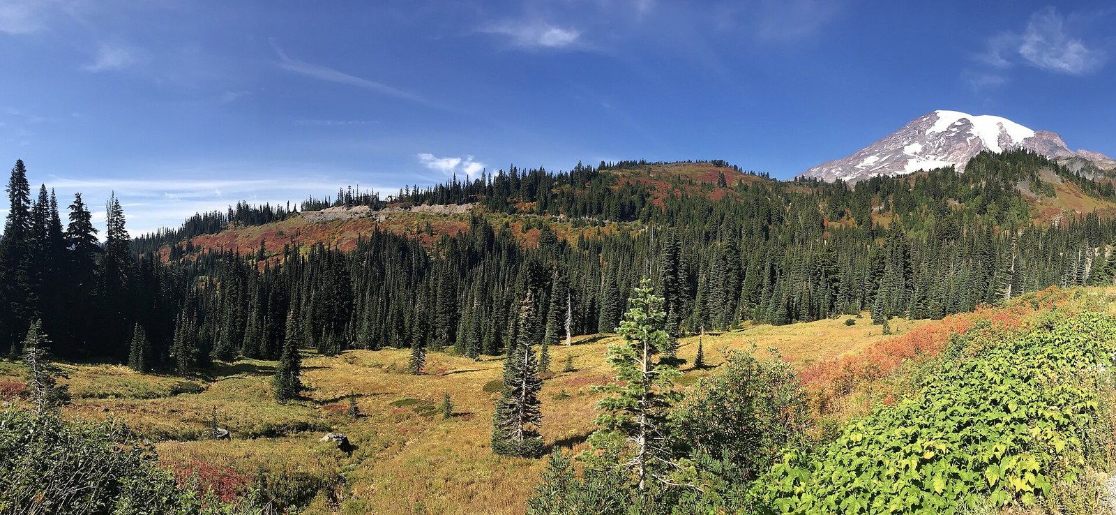 A glaciated peak above a subalpine meadow of red, orange and yellow, with clumps of dark conifers.