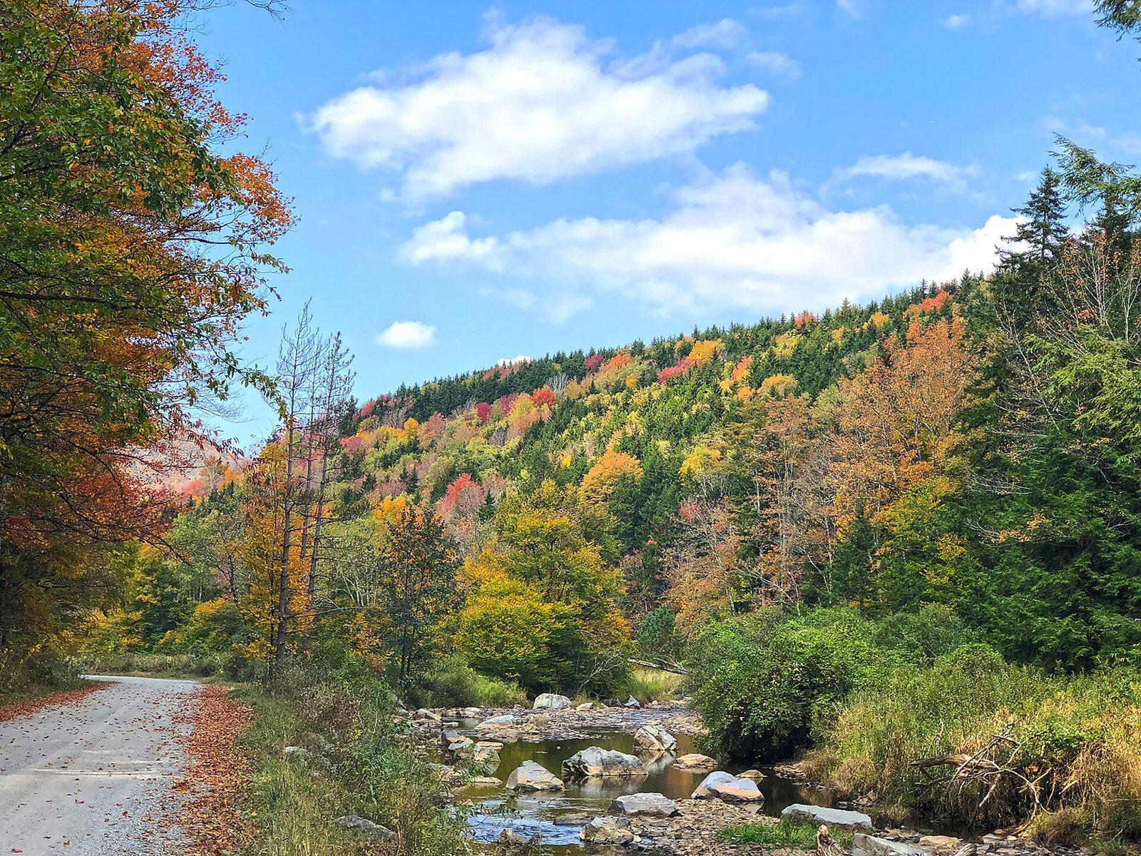 A gravel Forest Service road beside a stream, with hillsides of red, orange and yellow trees below Spruce Knob.